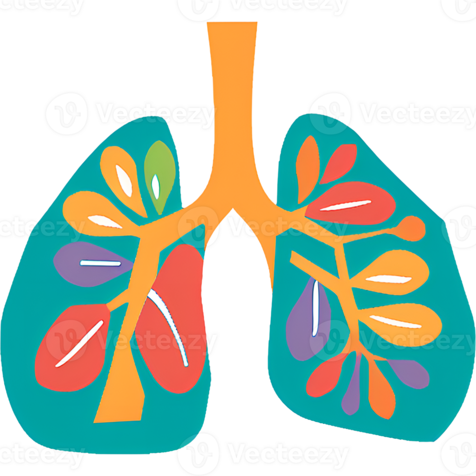 Parts of the body - Trachea and Lungs Colorful png