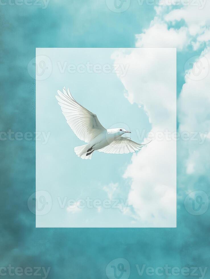 A white bird soaring against a serene blue sky with soft clouds, symbolizing freedom and peace. photo