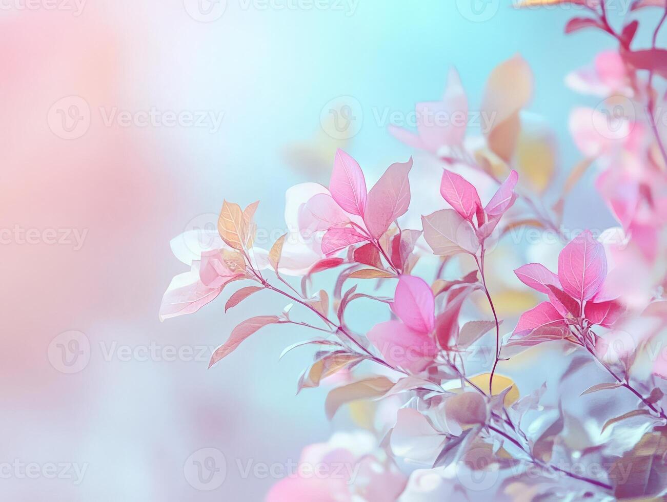 Delicate pink and white foliage against a soft, dreamy background. photo