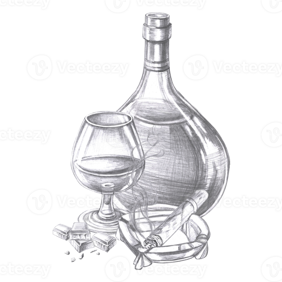 Bottle of cognac, glass and cigar. Pencil isolated illustration for cafes design, menu design and cookbooks. png