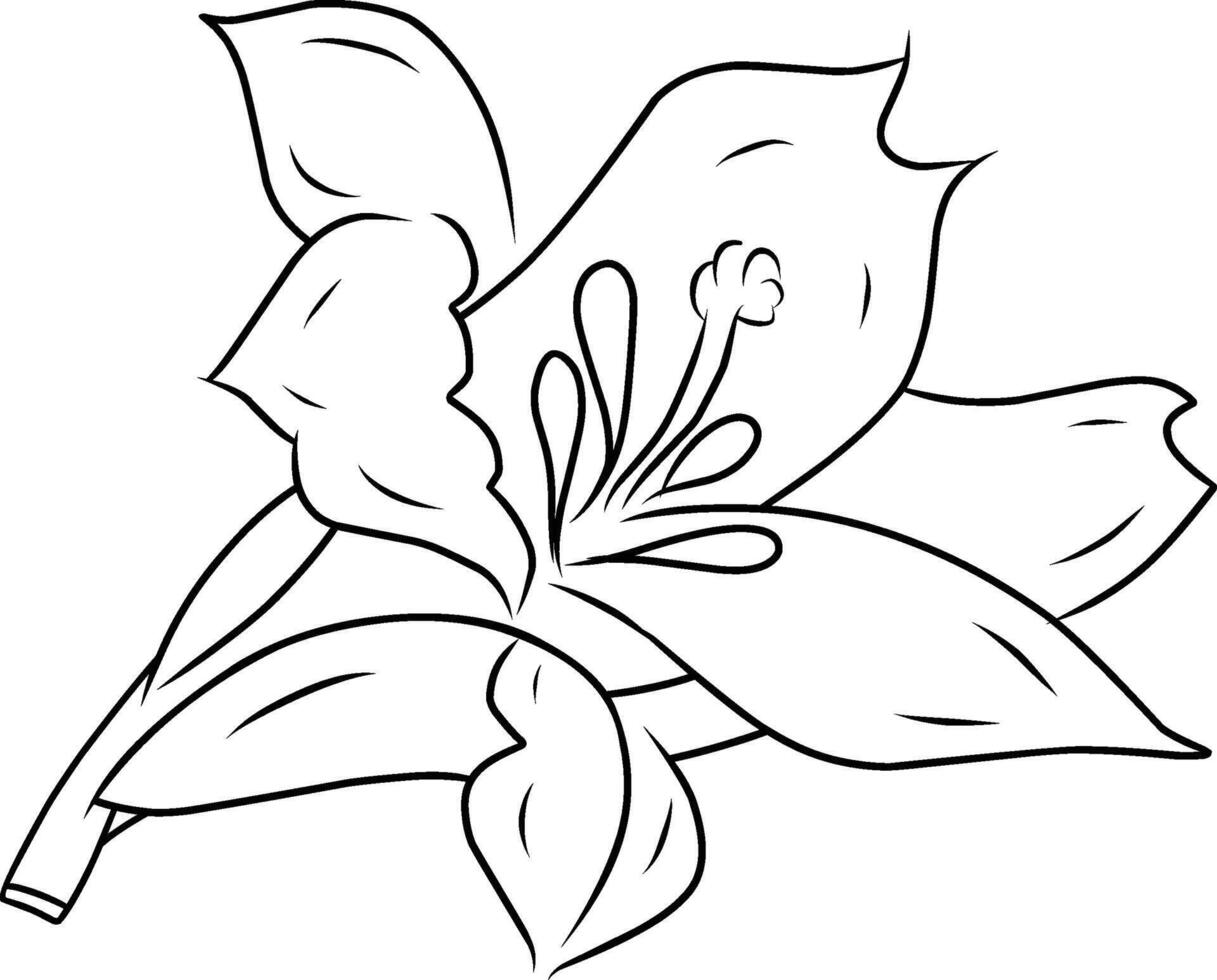 Floral Illustration Featuring a Blooming Flower with Leaves in Black and White Outline vector