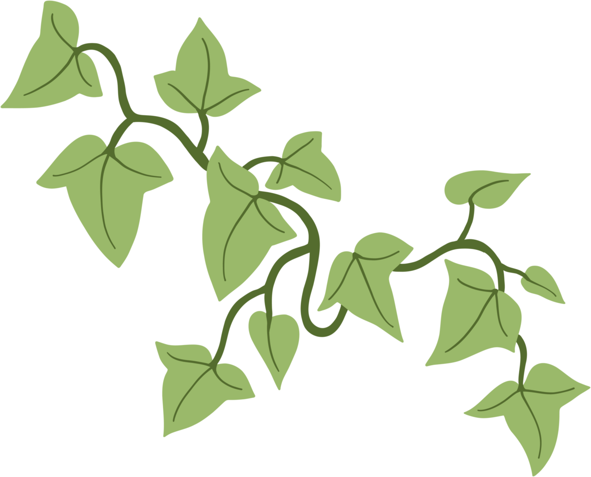 A green vine with leaves on it png