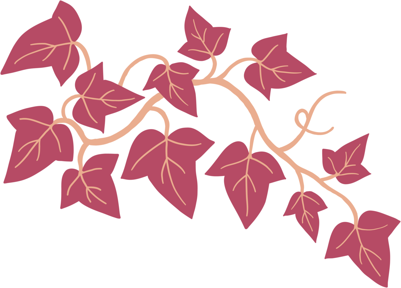 A pink vine with leaves on it png
