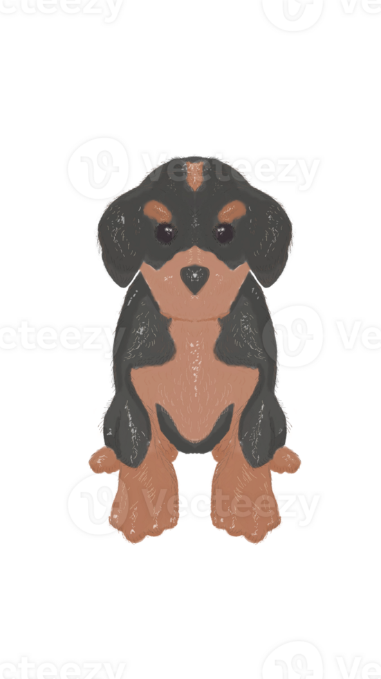 Hand Drawing Dachsund Dog in Black and Brown Cute png