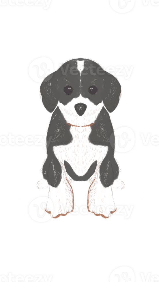 Hand Drawing Dachsund Dog in Black and Brown png