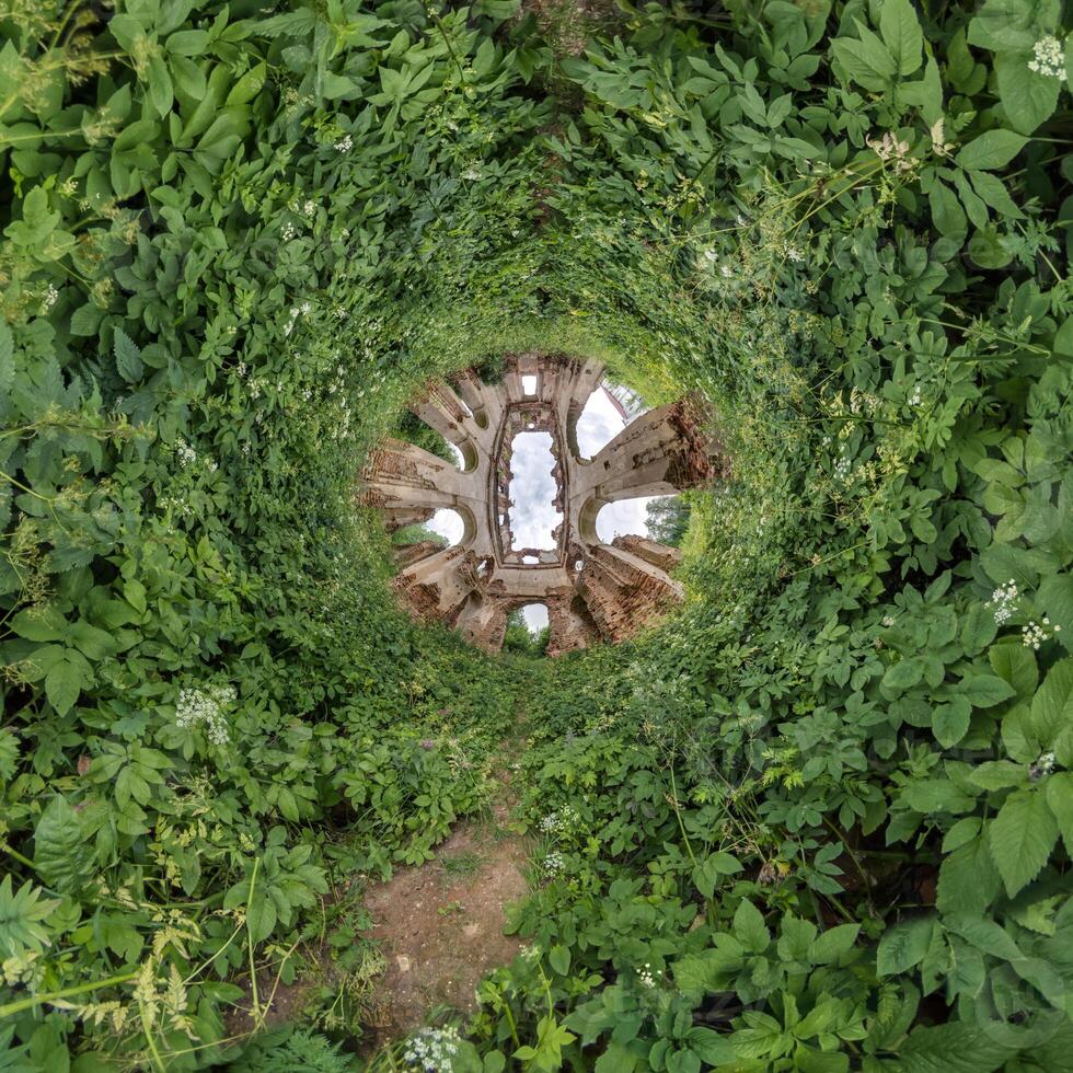 A circular view of a building surrounded by plants photo