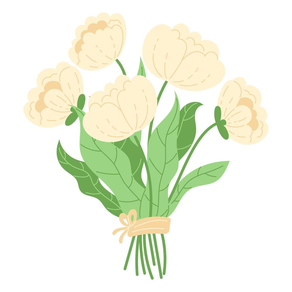 Lush bouquet of white peonies tied with a ribbon for Women's Day, romantic flowers vector