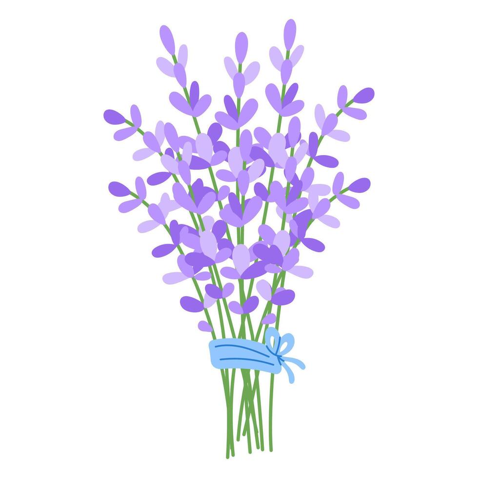 Lavender bouquet tied with a light blue ribbon for Women's Day vector