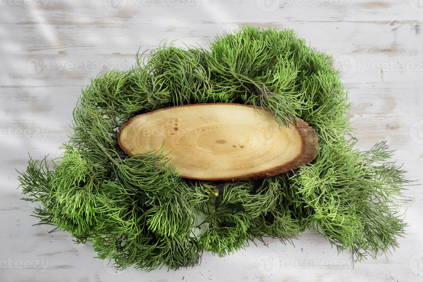 wooden slice with spruce leaves photo