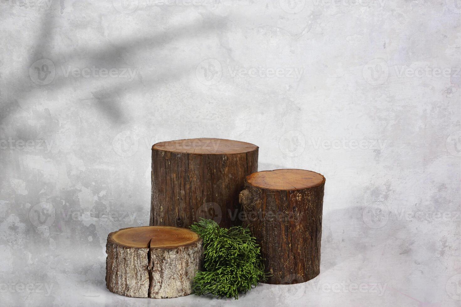 wooden log with leaves photo