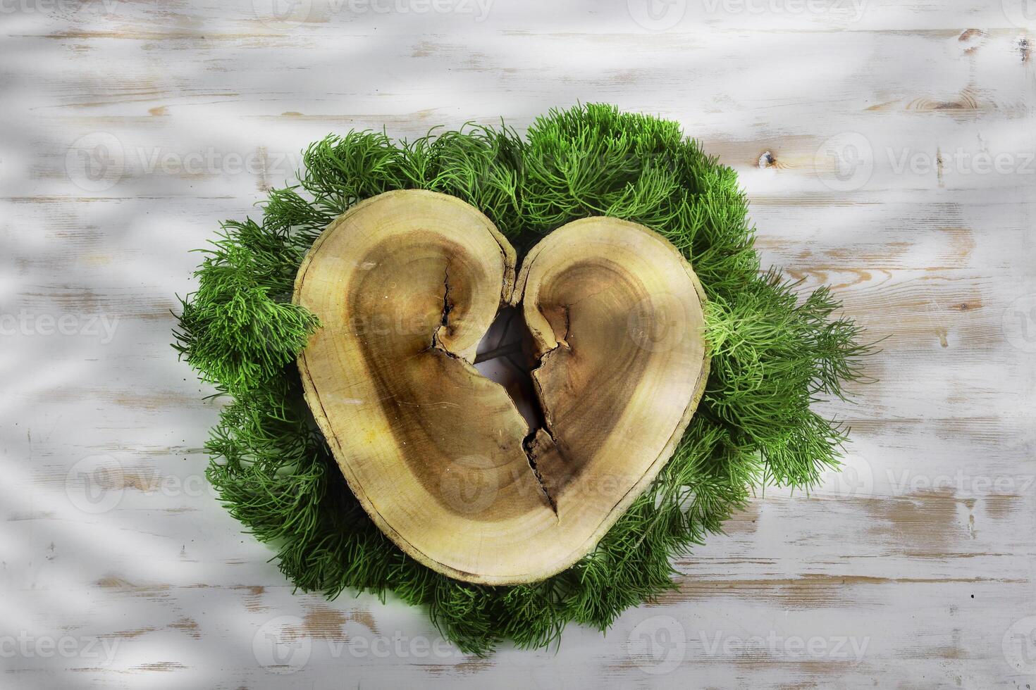 unique wooden slice and spruce leaves photo