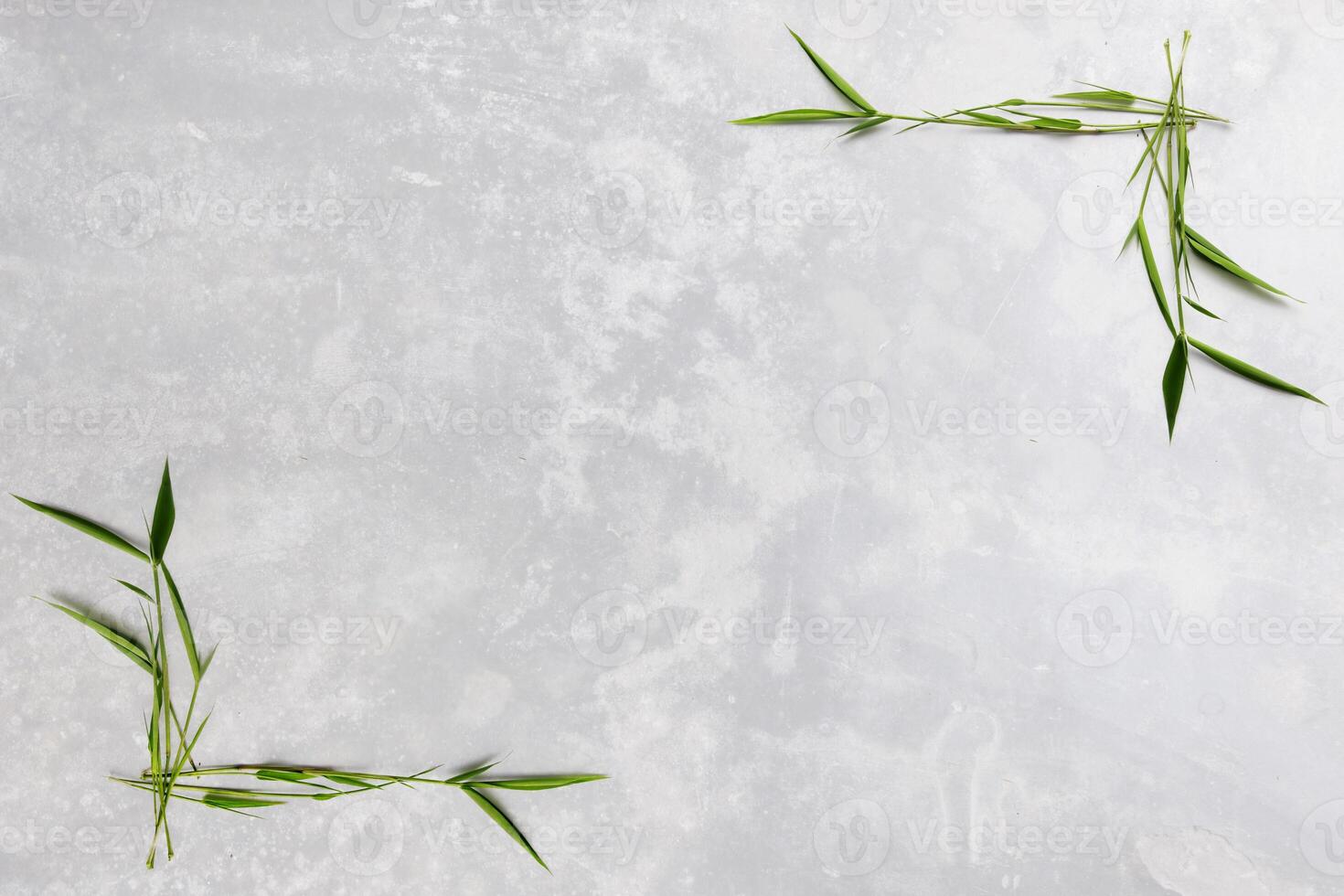 white concrete and leaves photo