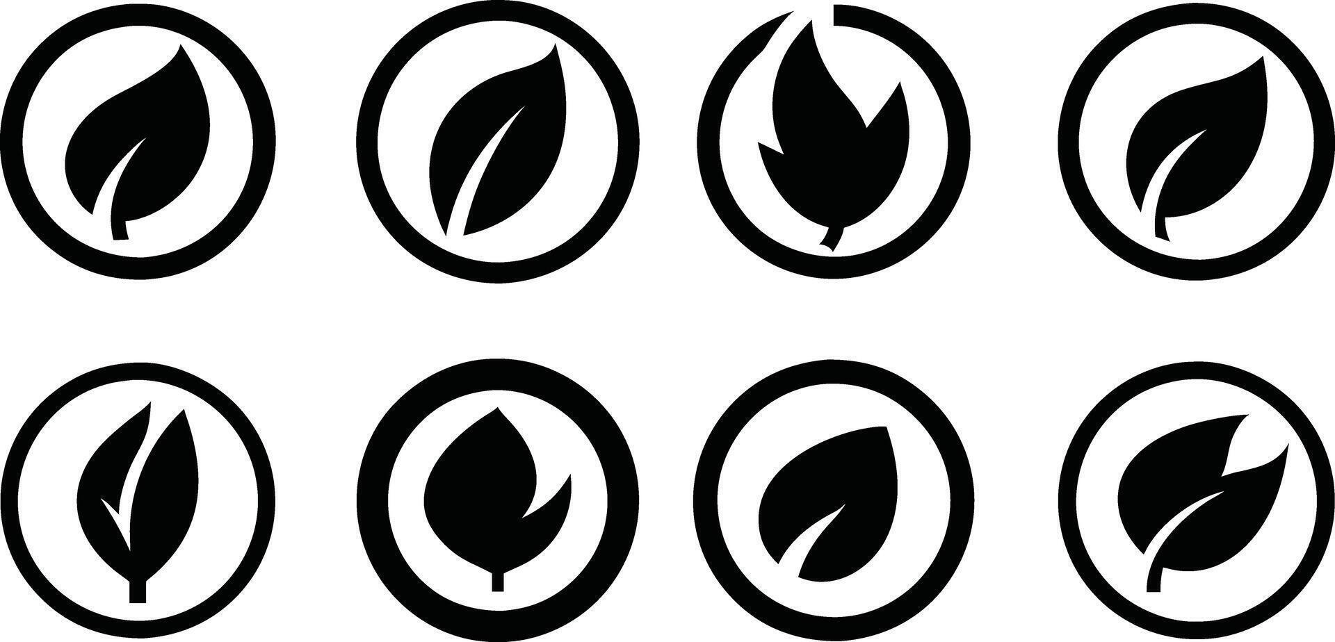 Collection of Various Leaf Icons in Circles vector