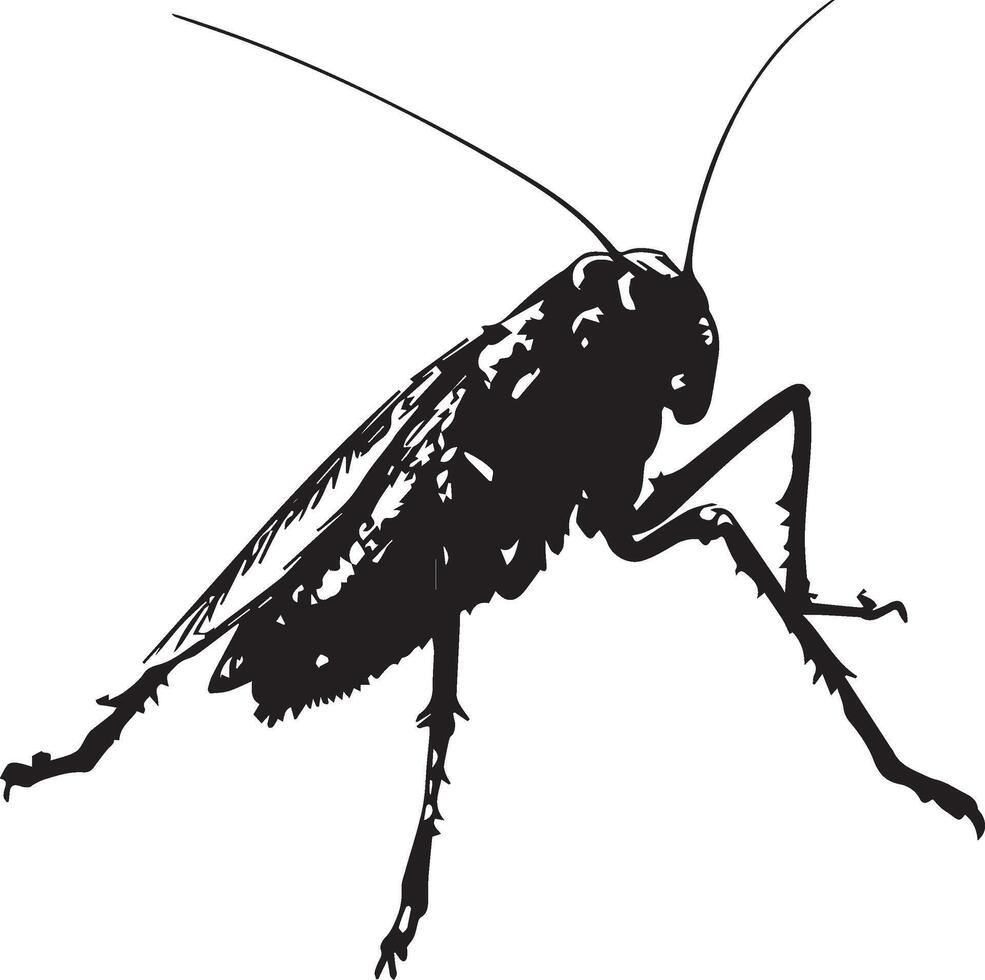 Silhouette of a cockroach insect silhouette vector