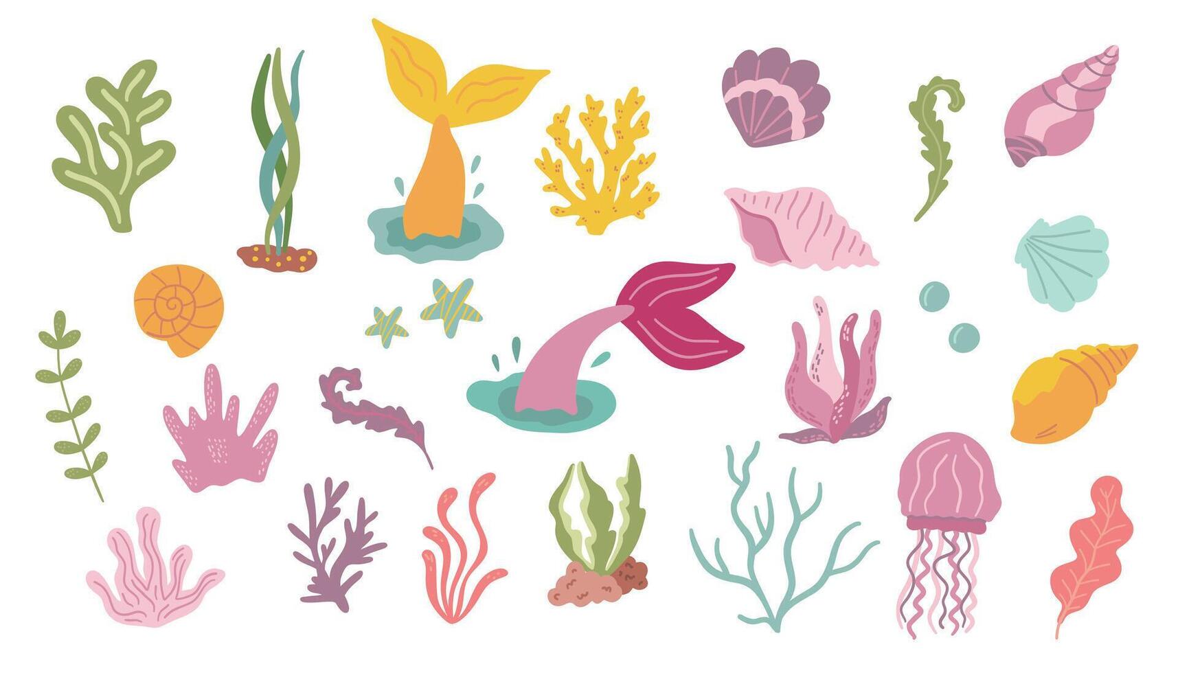 Set of hand drawn seaweeds and seashells. illustration. vector