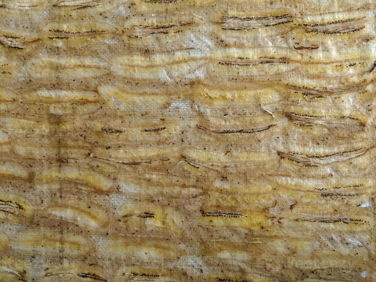 Detailed close-up of banana bark texture, showcasing unique patterns and warm earthy colors. Ideal for backgrounds, design elements, or eco-themed projects. photo