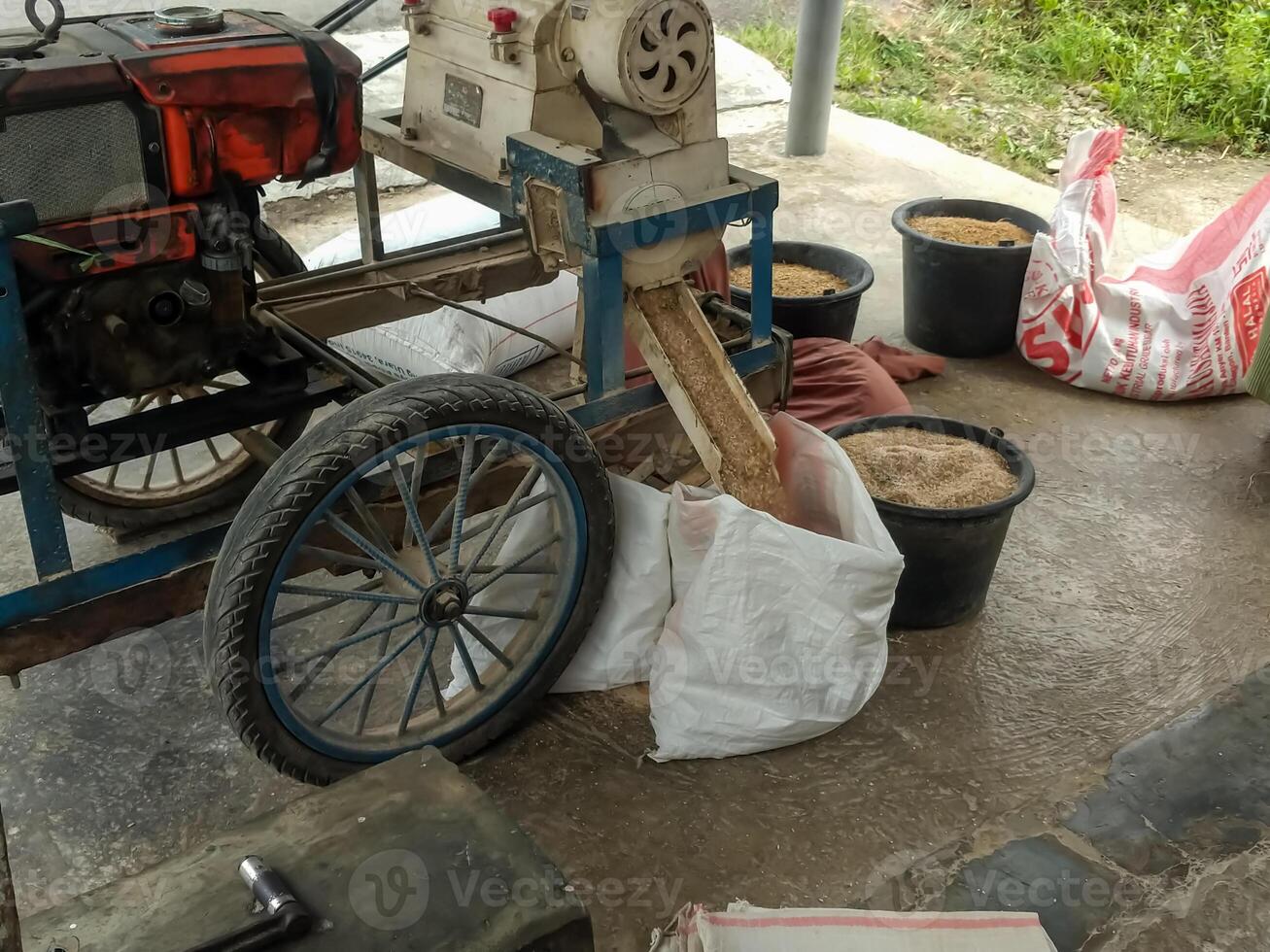 Rice being processed and collected into a black bucket from a traditional wooden cart. The image captures a rustic agricultural method, emphasizing the simplicity and efficiency of rural life. photo