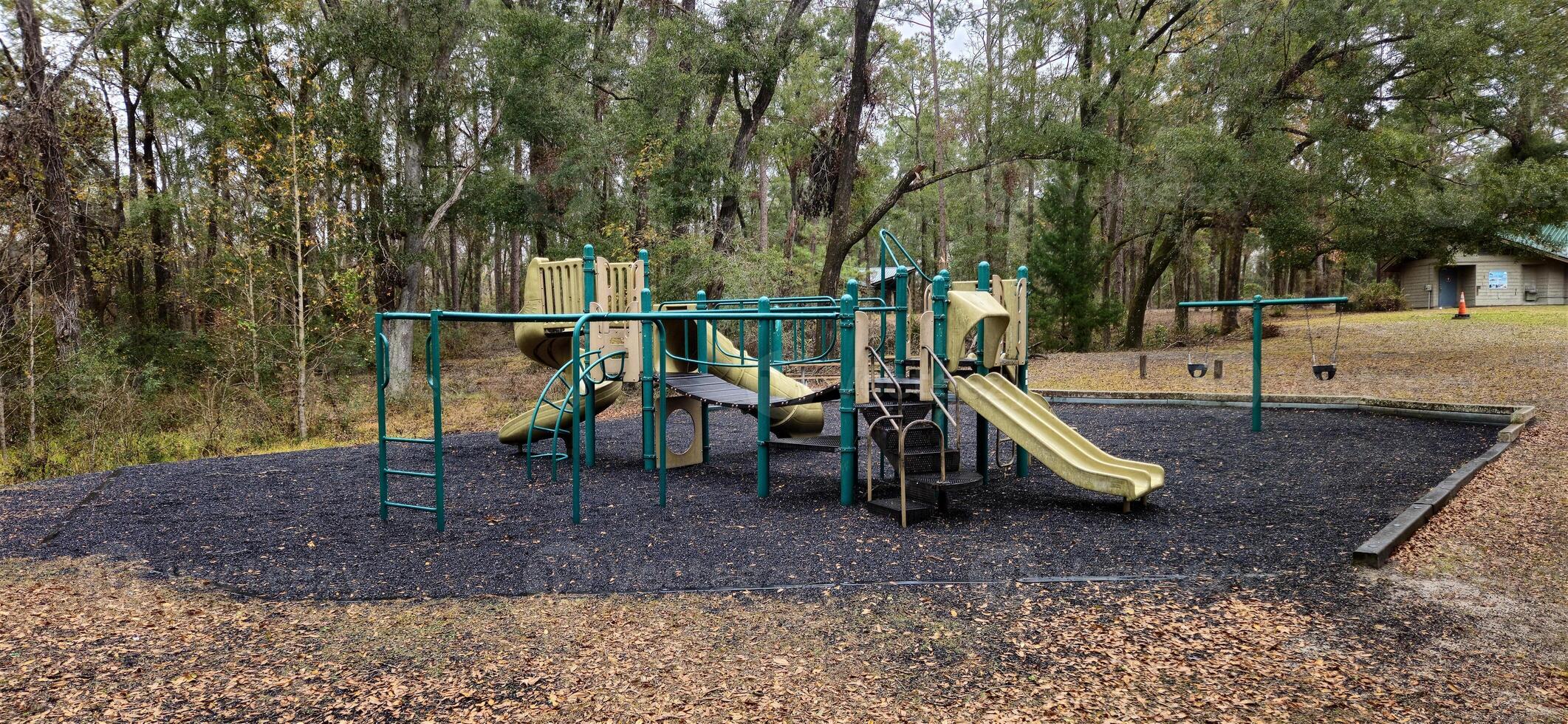 A playground with a slide and a tree photo