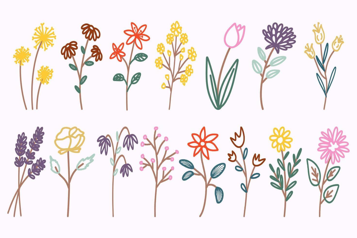a set of wildflowers with different colors and shapes vector