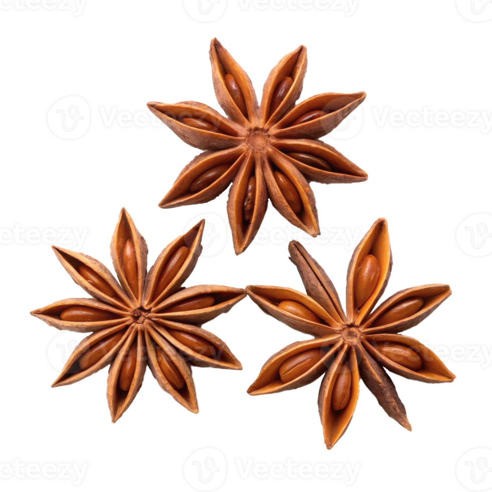Close-up of star anise spices in detailed view, natural style, isolated, culinary and seasoning png