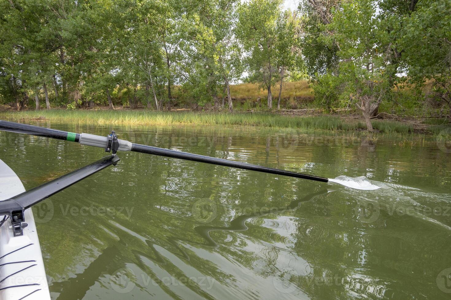 sculling oar on a calm lake, Boyd Lake in Colorado photo