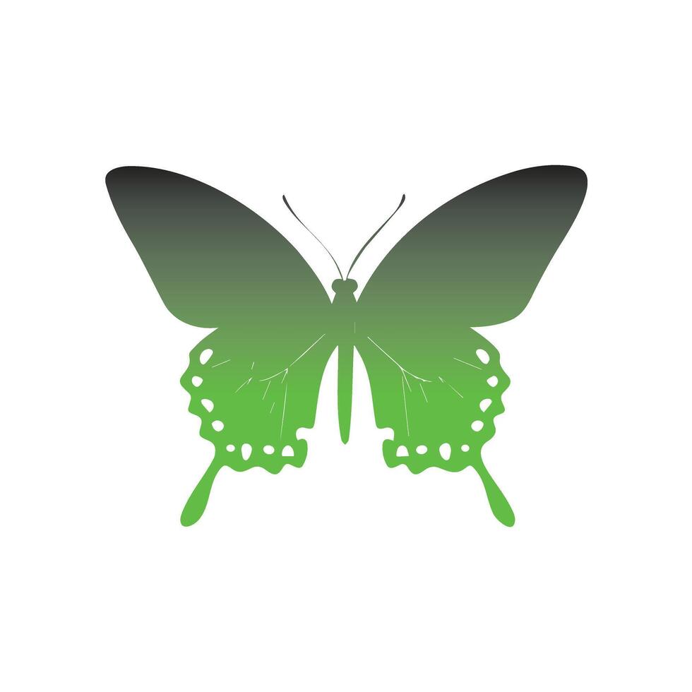 a green butterfly on a white background vector
