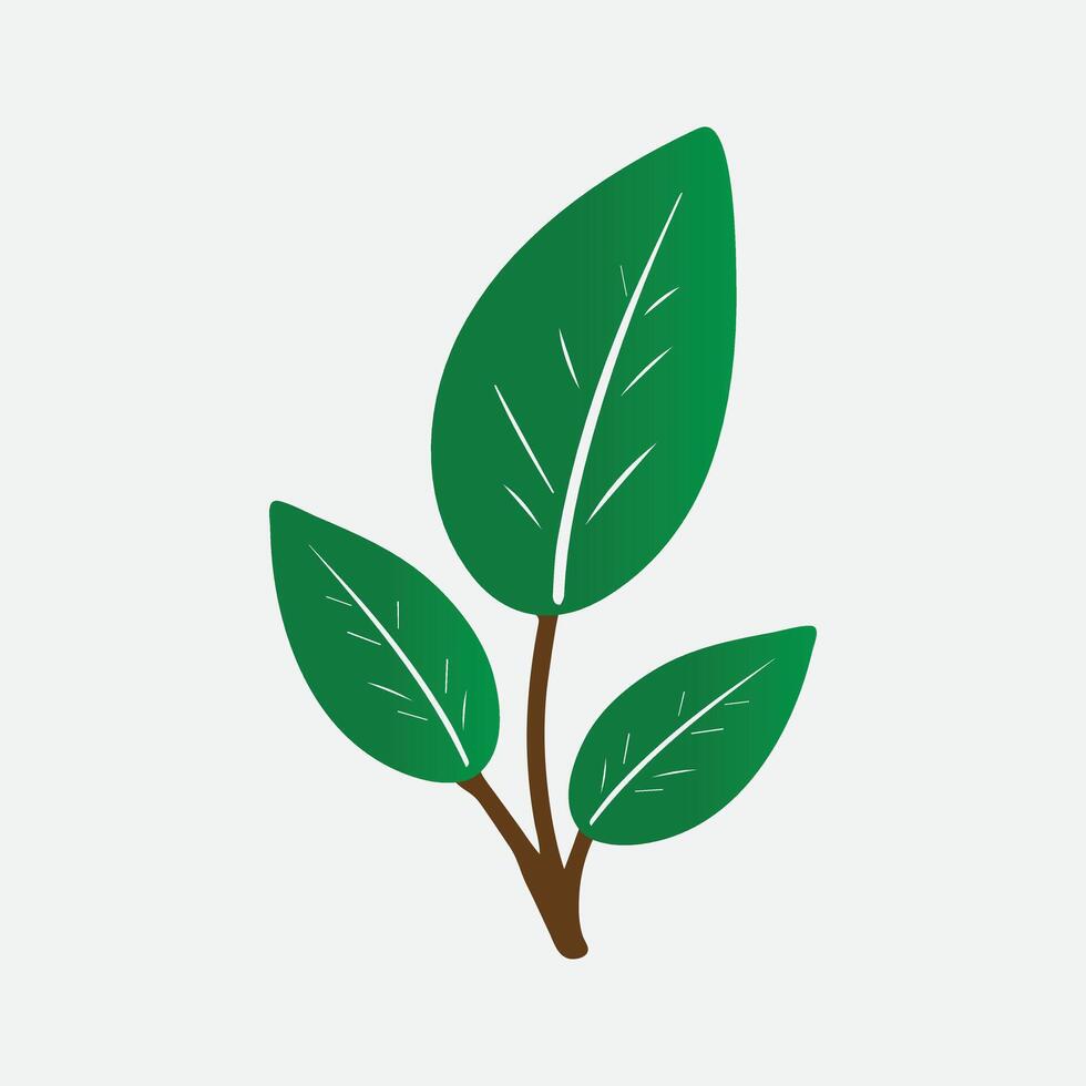 a green plant with leaves on it vector
