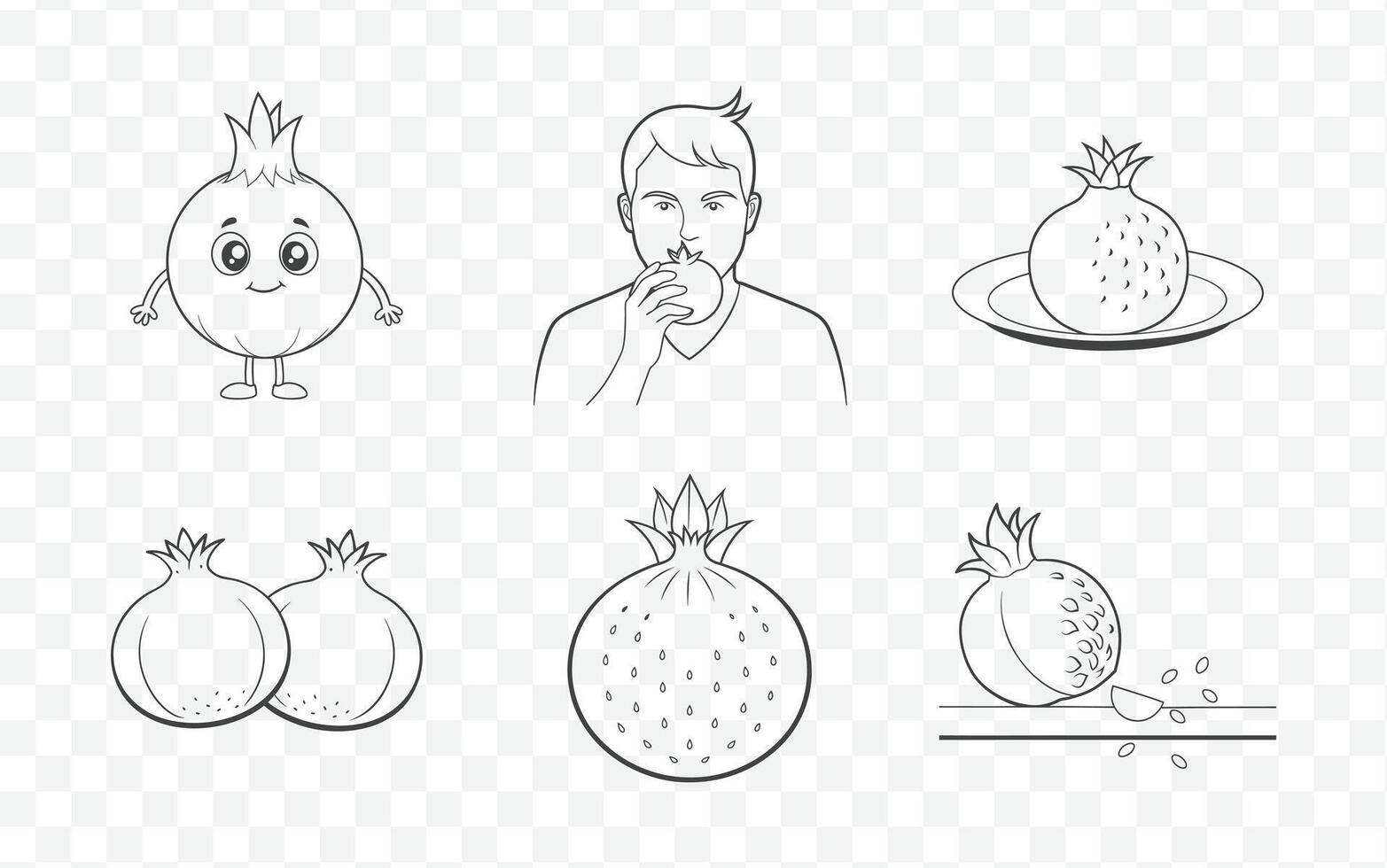 Pomegranate Illustration Collection in Minimalist Line Art Style vector