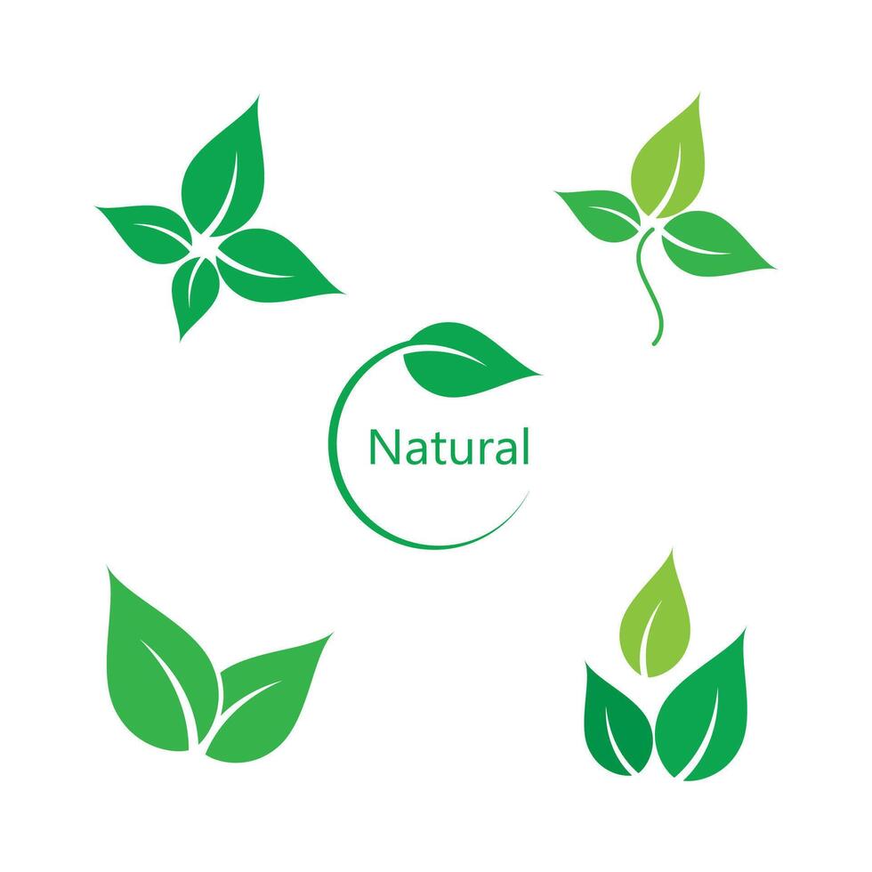 Set icon Green leaf logo template element symbol vector