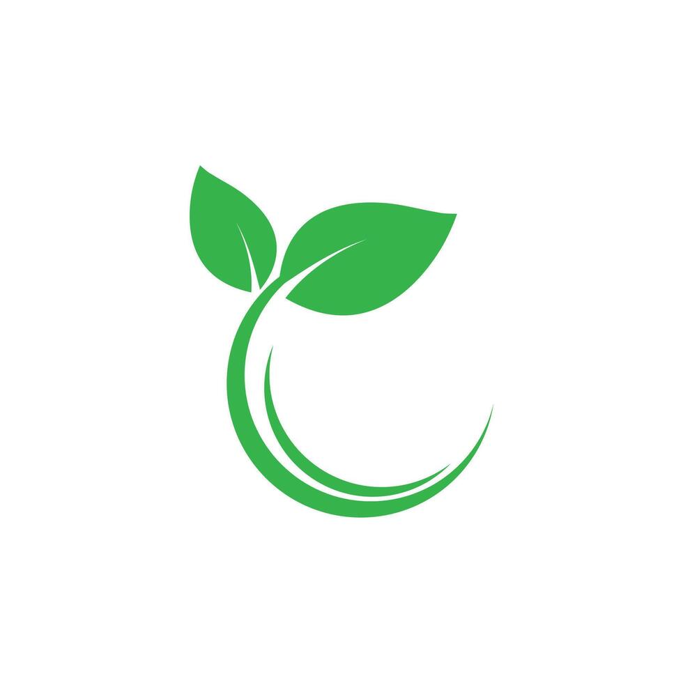 Stylized Green leaf logo vector