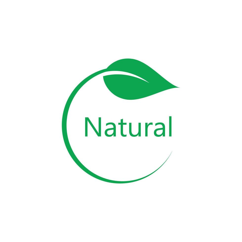 Green leaf nature logo vector