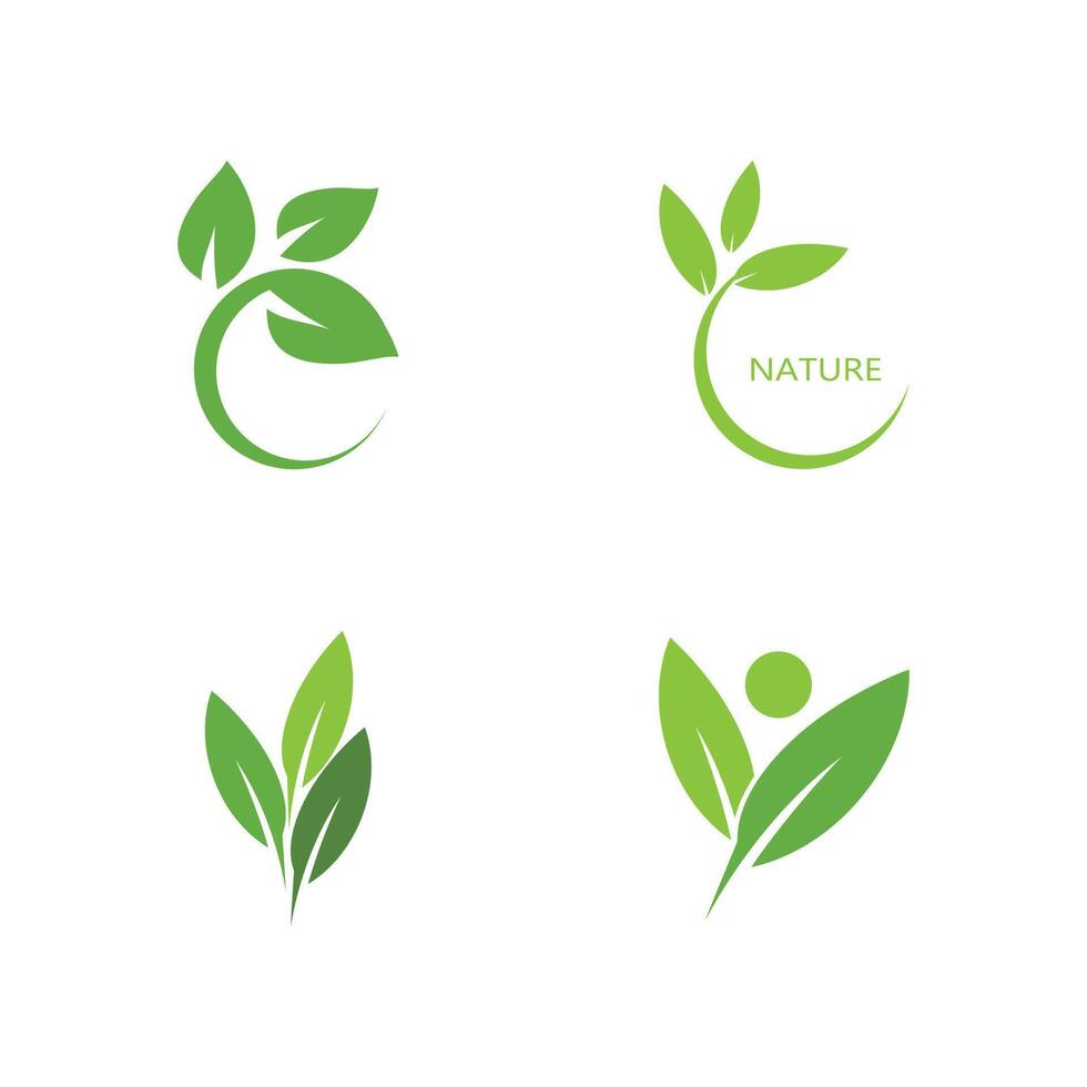 Set natural Green leaf logo template element symbol design vector