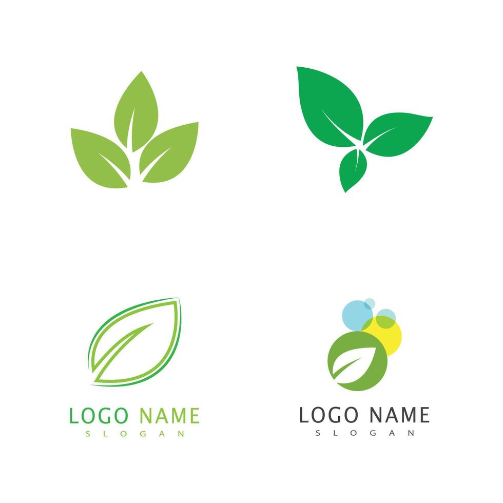 Set Green leaf logo template element vector