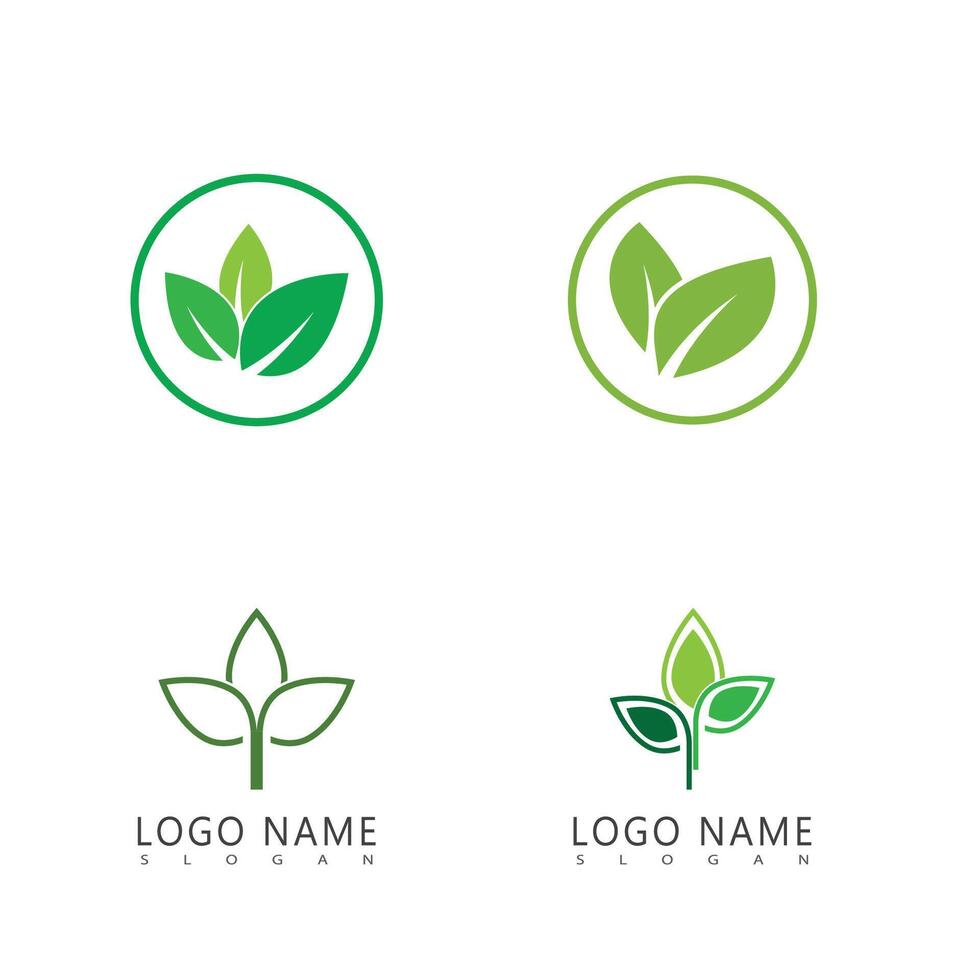 Set Green leaf logo template element symbol vector