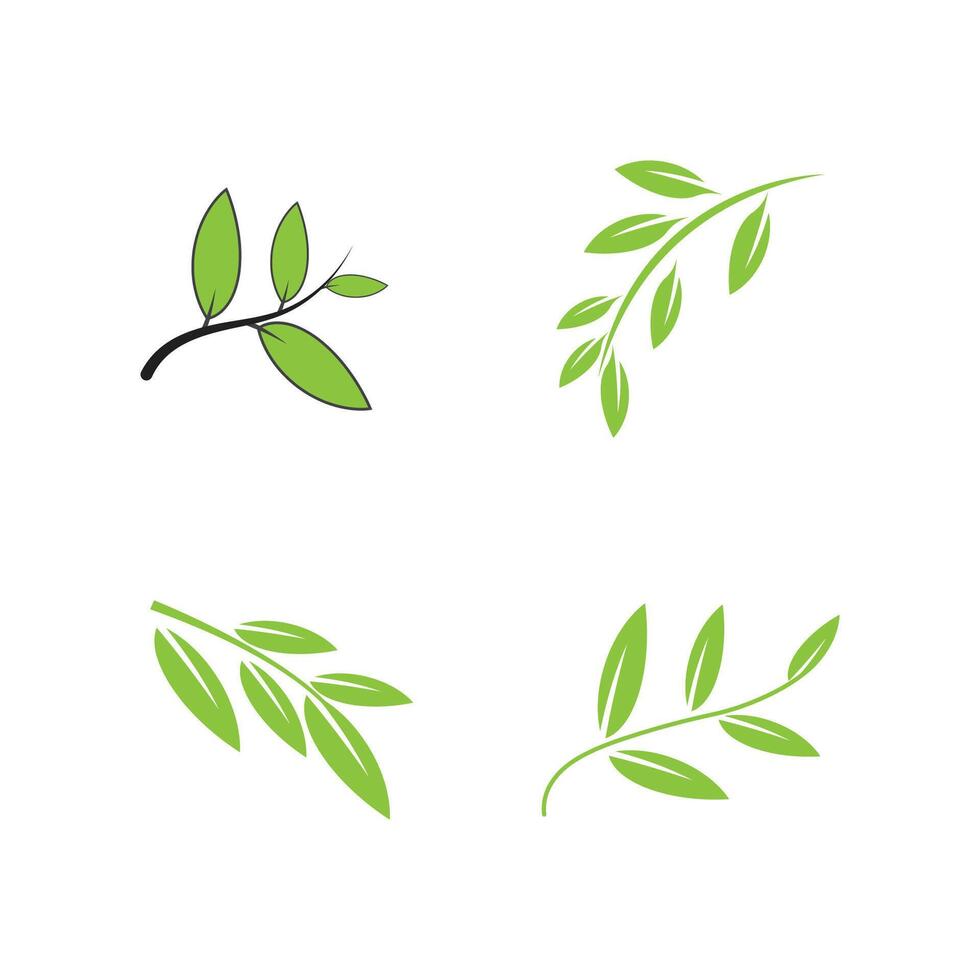 Green natural leaf logo template element symbol design vector