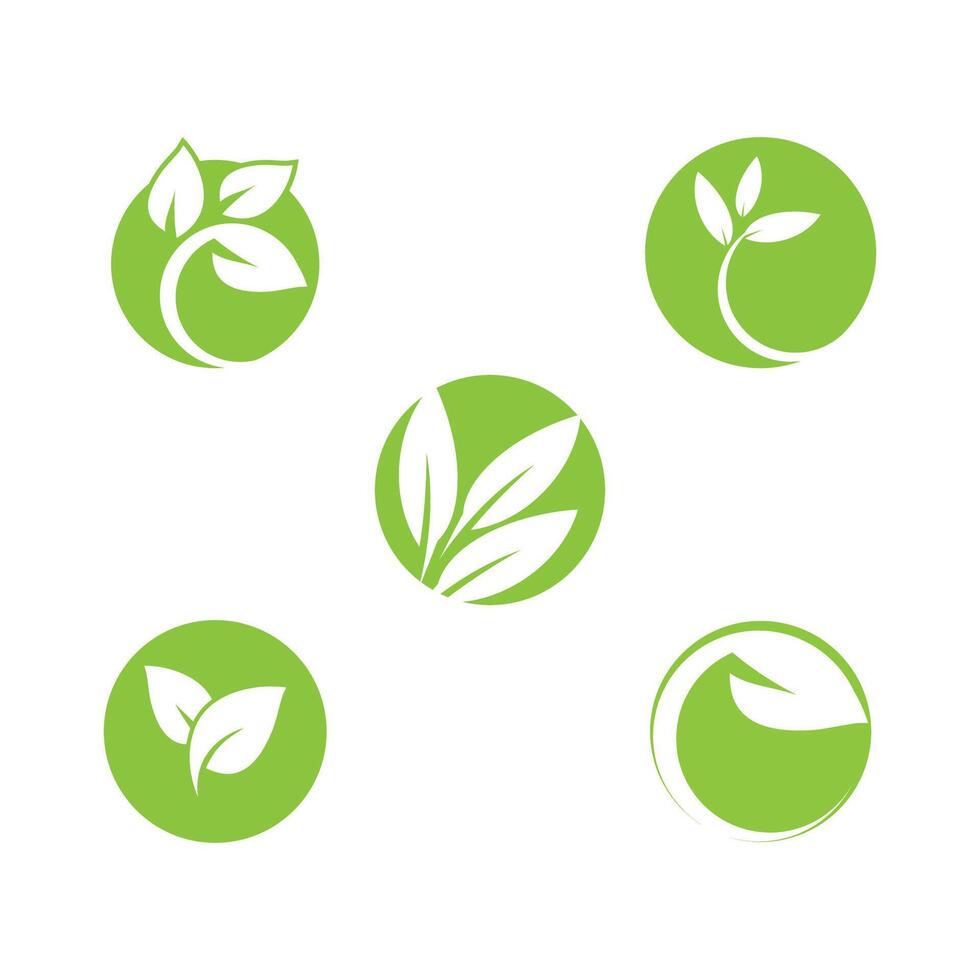 Set stylized Green leaf logo template element symbol design vector