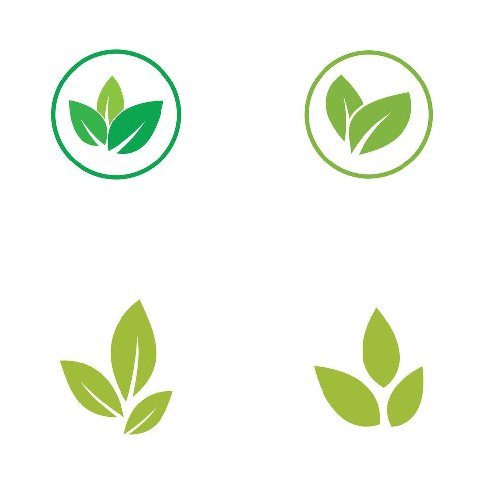 Set stylized Green leaf logo template element vector