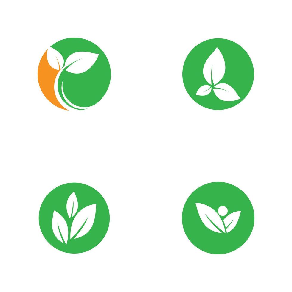 Set Green leaf logo symbol design vector