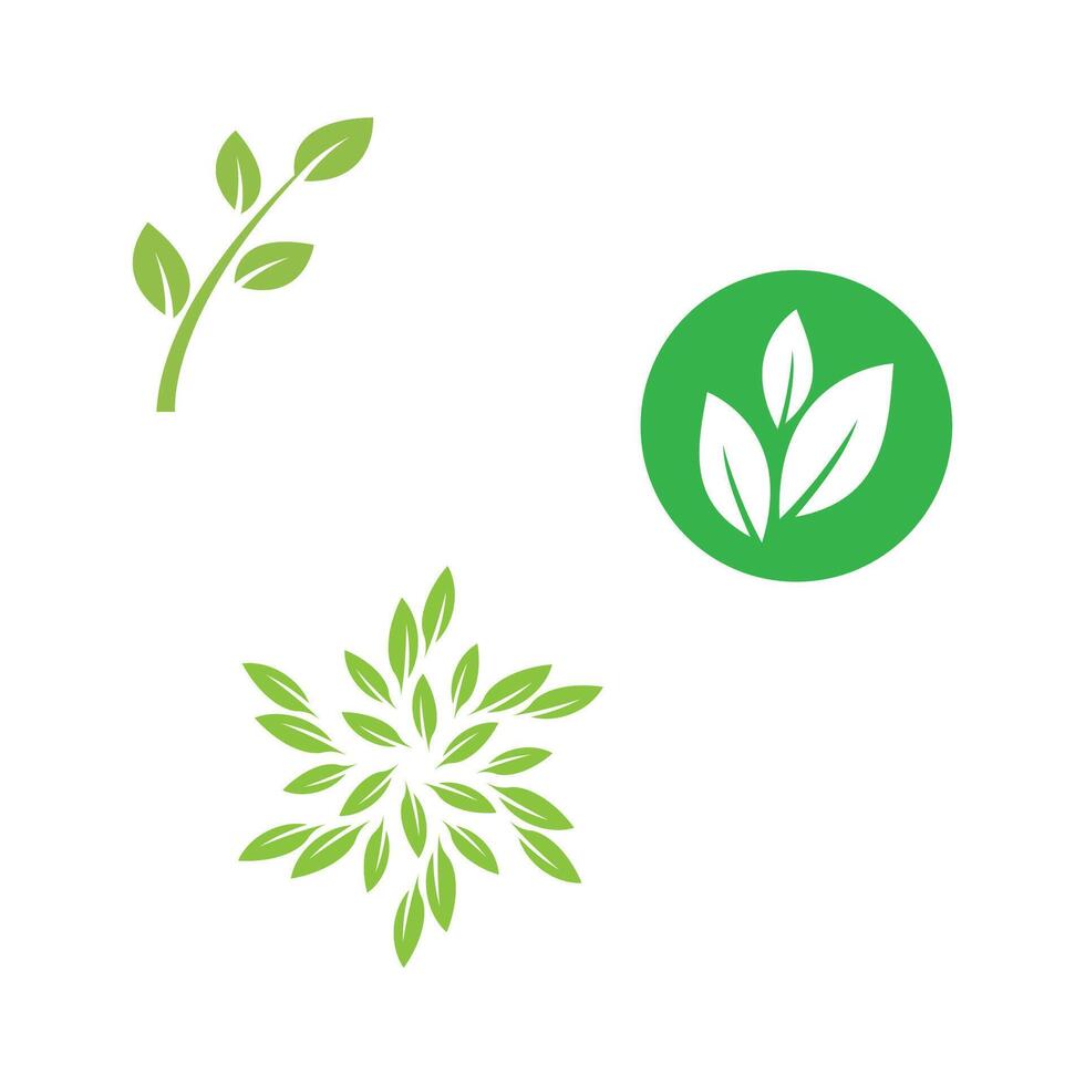 Green leaf logo natural template element symbol vector