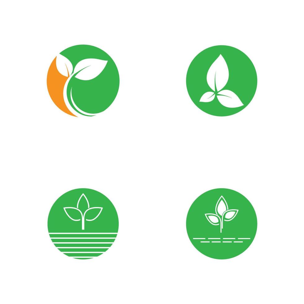 Set Green leaf logo template element symbol design vector
