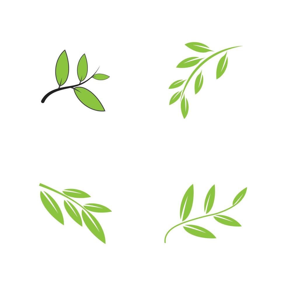 Set Green leaf logos template element vector