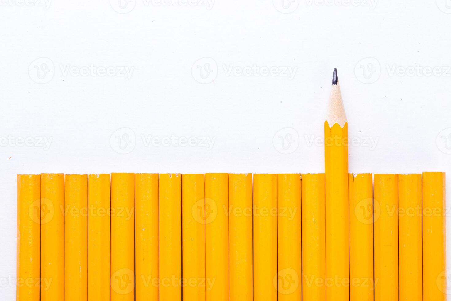 Yellow pencils arranged in a neat row with one pencil standing out against a white background photo