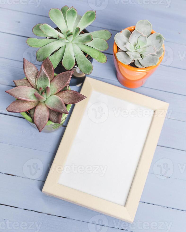 Succulent plants arranged beside an empty photo frame on a light blue wooden surface indoors during daylight