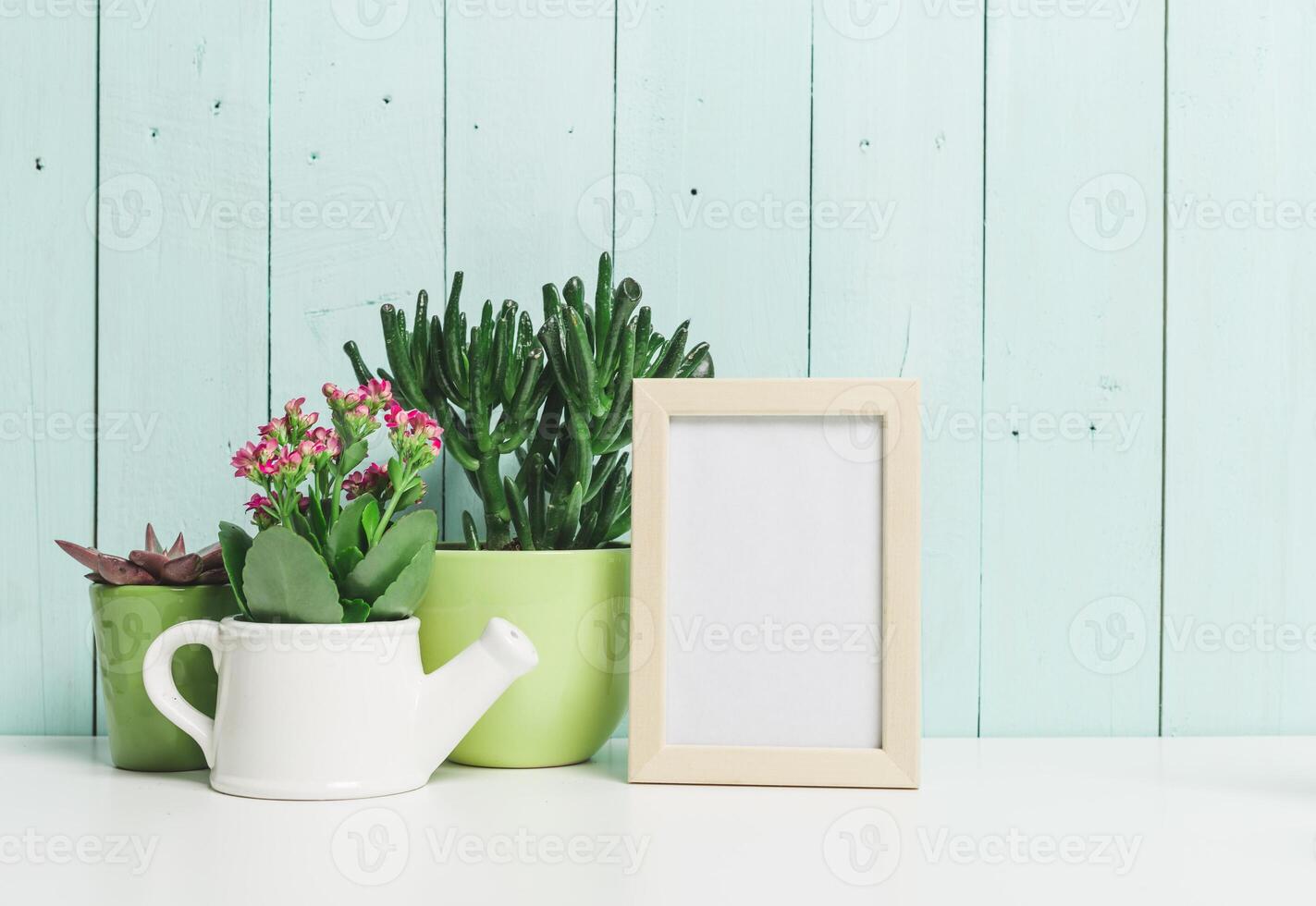 Beautiful arrangement of indoor plants and an empty frame on a soft blue wooden background photo