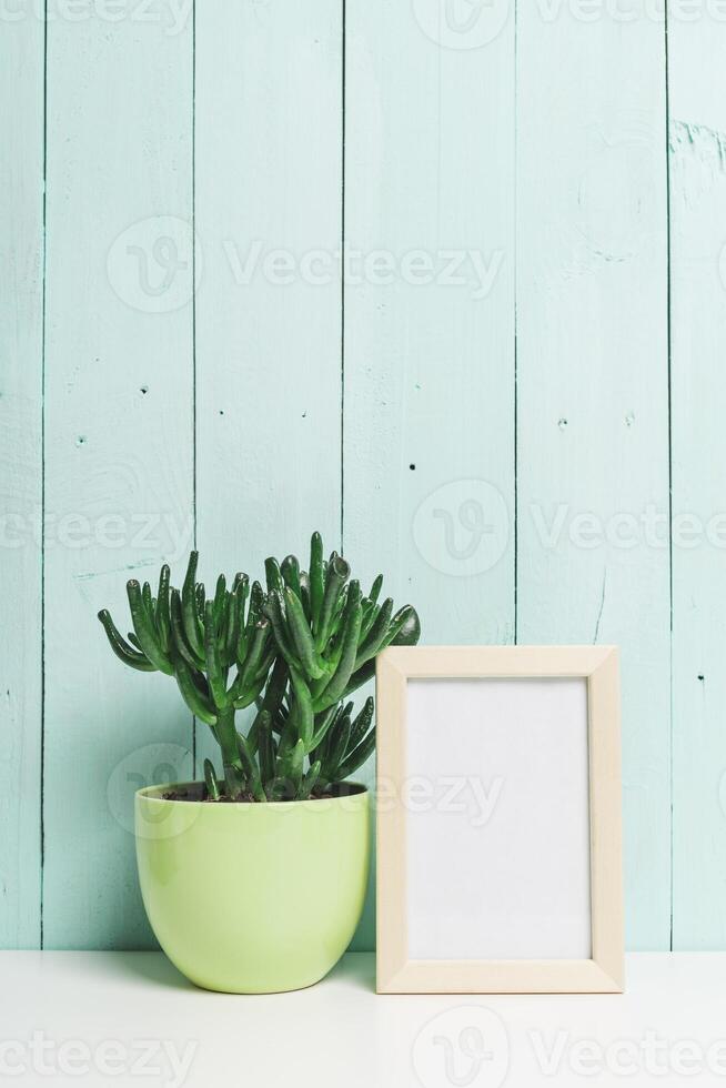 Green succulent plant in a light green pot beside an empty photo frame against a pastel wooden background