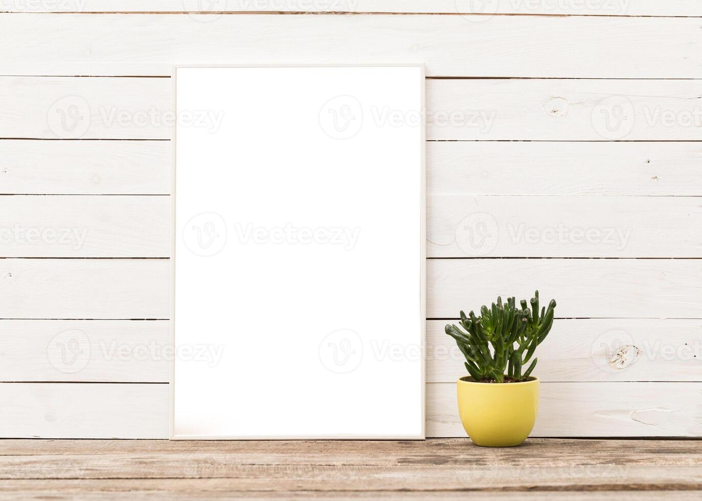 Blank canvas awaits creative inspiration in a cozy indoor space with a small succulent plant in a pot photo