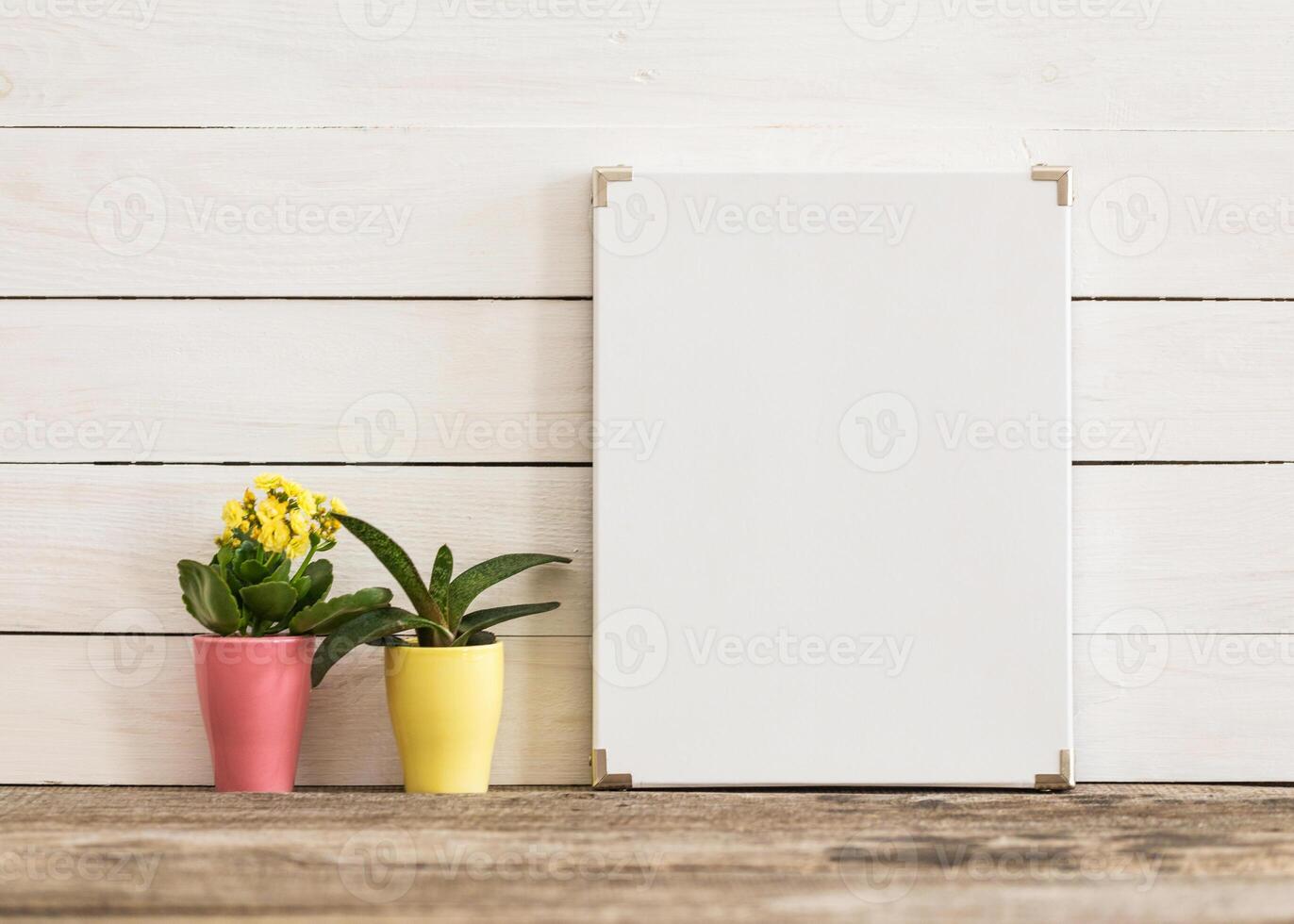 Decorative display of potted plants with a blank sign on a wooden background in a cozy setting photo