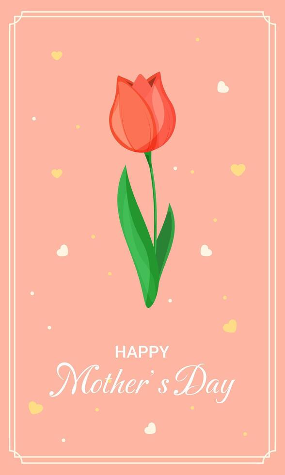Mother's day greeting card. Tulip flower. Spring card. vector