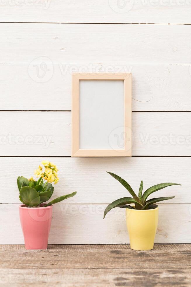 Bright potted plants flank an empty frame against a rustic wooden background in a cozy indoor setting photo