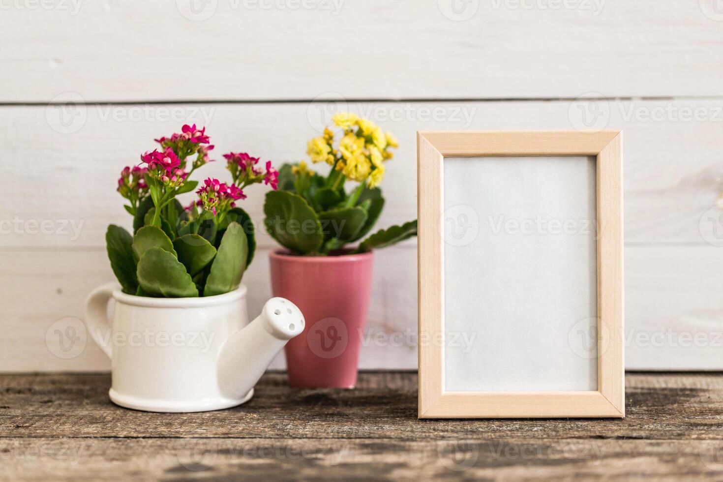 Decorative plants in pots alongside a blank photo frame on rustic wooden table